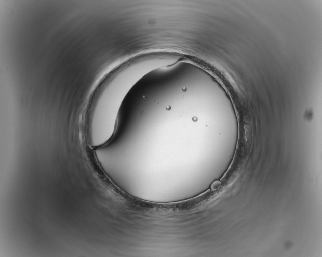 X0000102341069200808151723