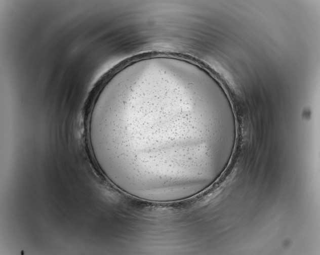 X0000102341070200808151723