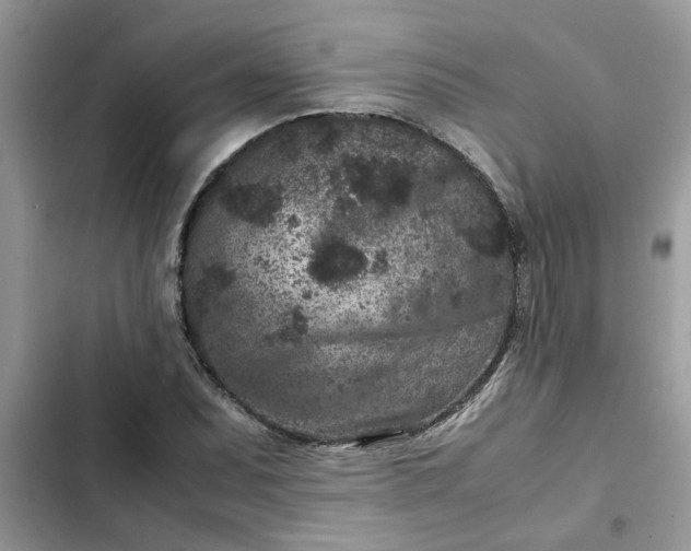 X0000102341071200808151723