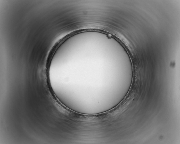 X0000102341072200808151723