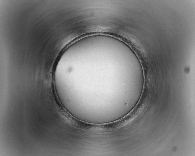 X0000102341073200808151723