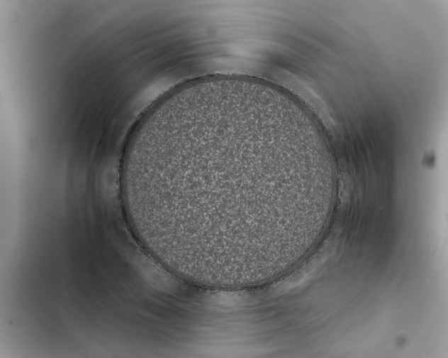 X0000102341074200808151723