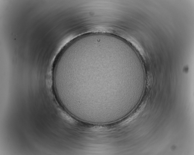 X0000102341075200808151723