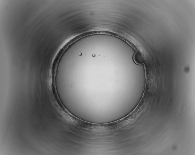 X0000102341076200808151723