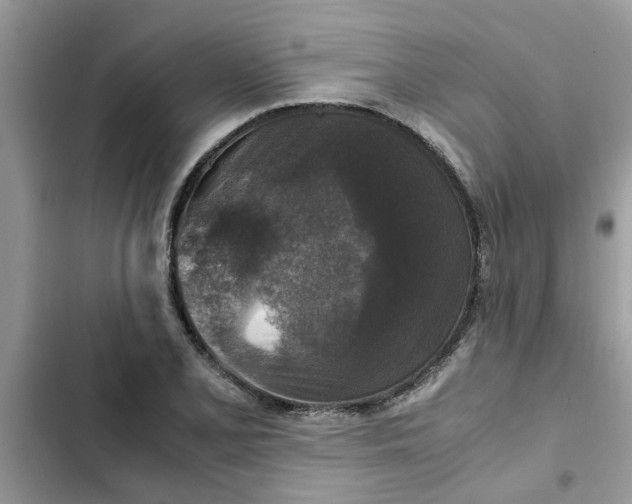 X0000102341077200808151722