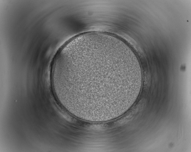 X0000102341078200808151722