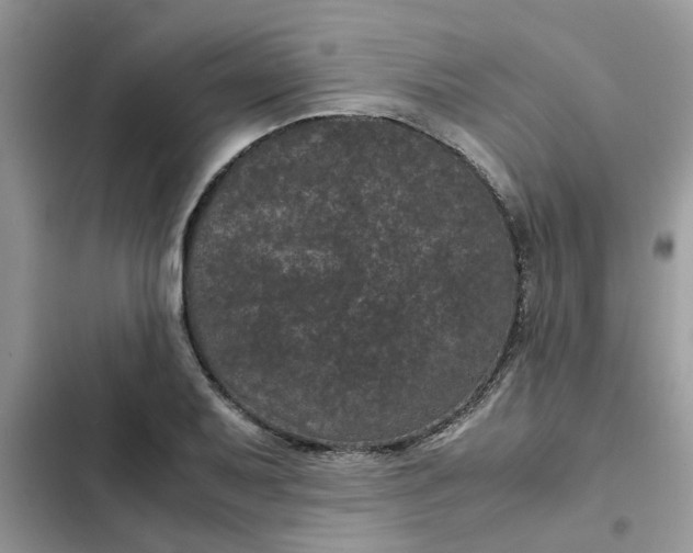 X0000102341079200808151722