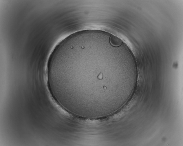 X0000102341080200808151722