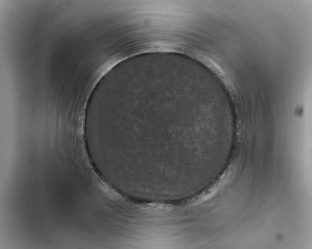 X0000102341081200808151722