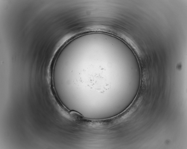 X0000102341082200808151722