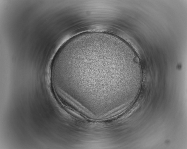 X0000102341083200808151722