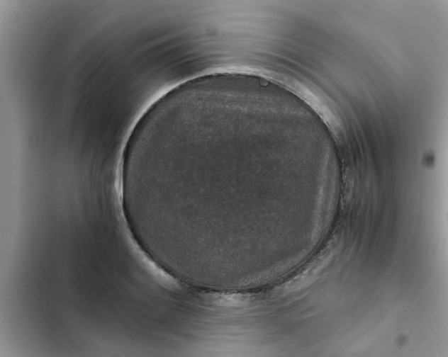 X0000102341084200808151722