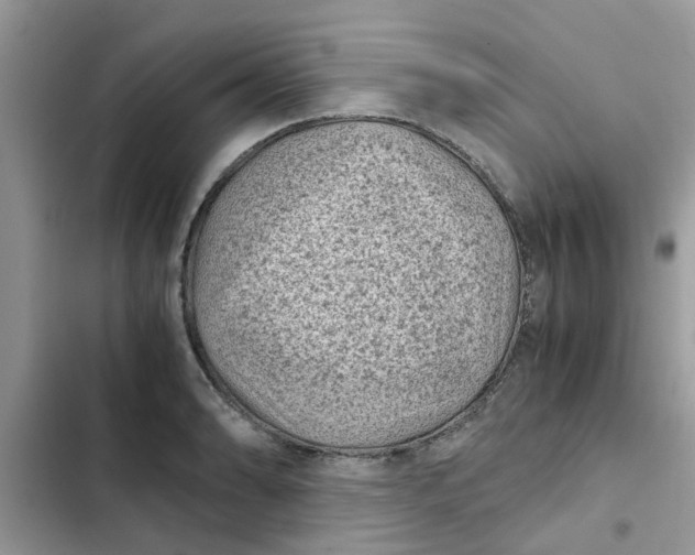 X0000102341086200808151722