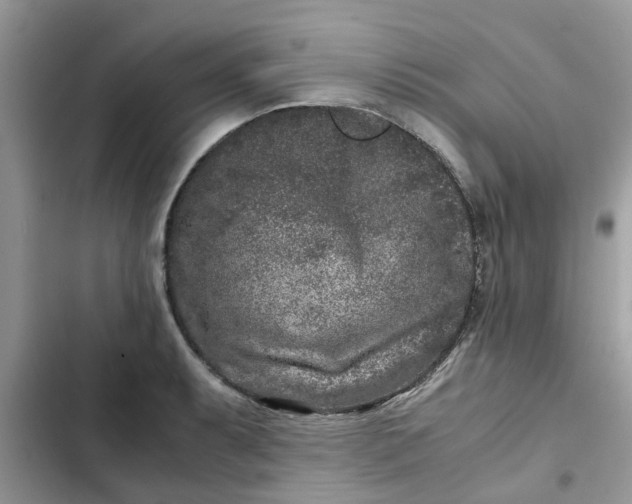 X0000102341087200808151722