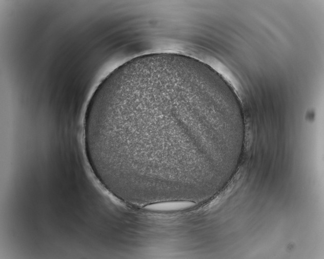 X0000102341088200808151722