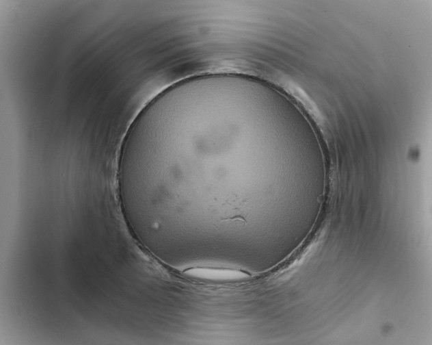 X0000102341089200808151722