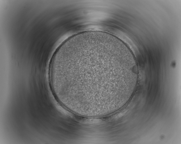 X0000102341090200808151722