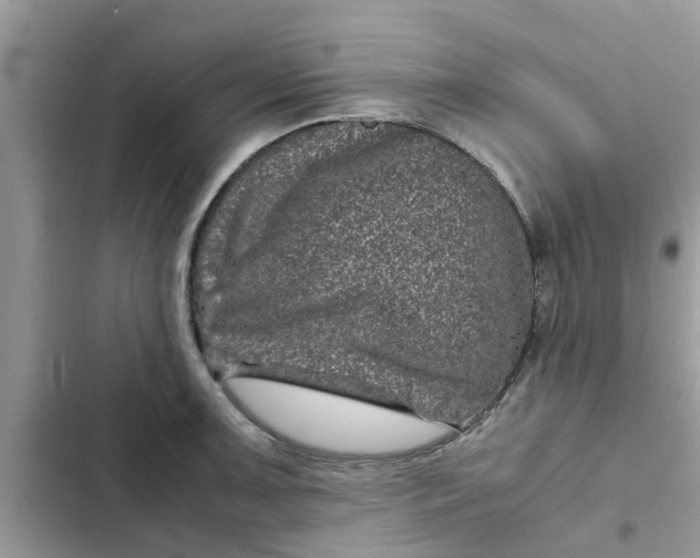 X0000102341091200808151722