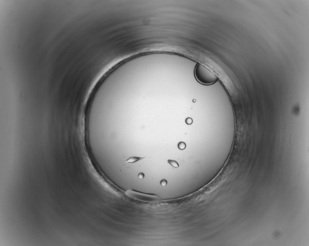 X0000102341092200808151722