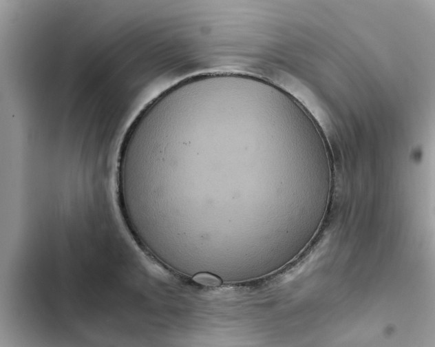 X0000102341093200808151722