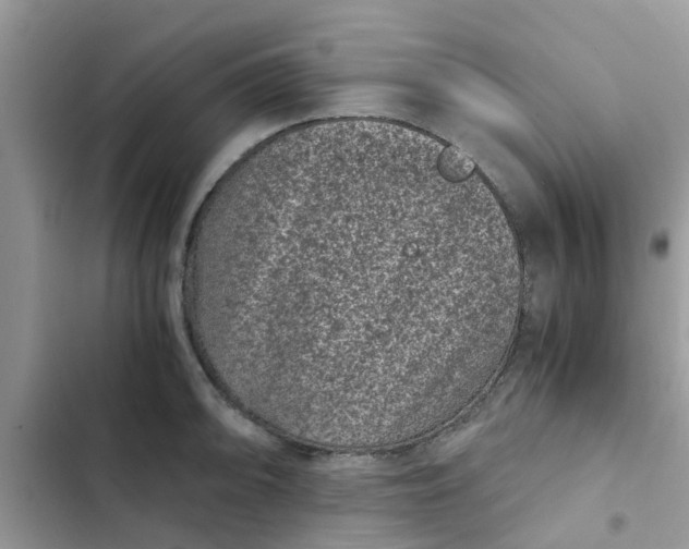 X0000102341094200808151722