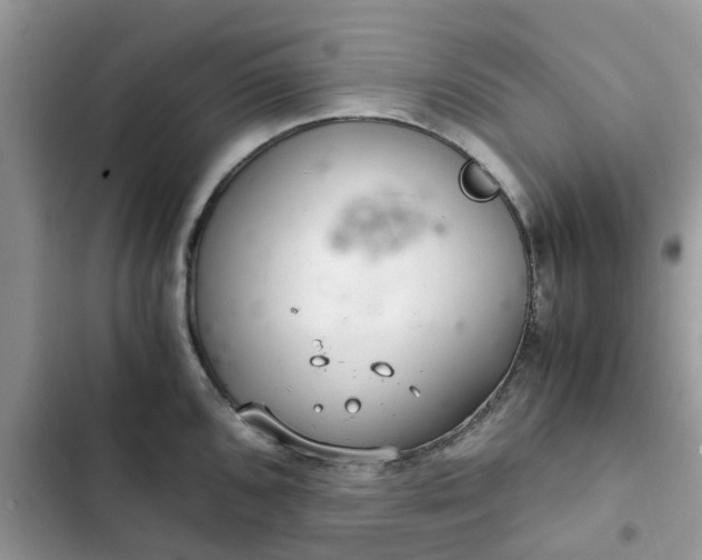 X0000102341096200808151722