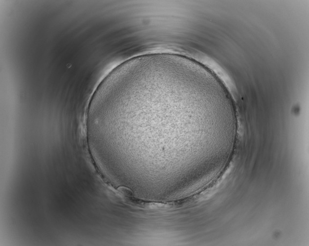 X0000102341097200808151722