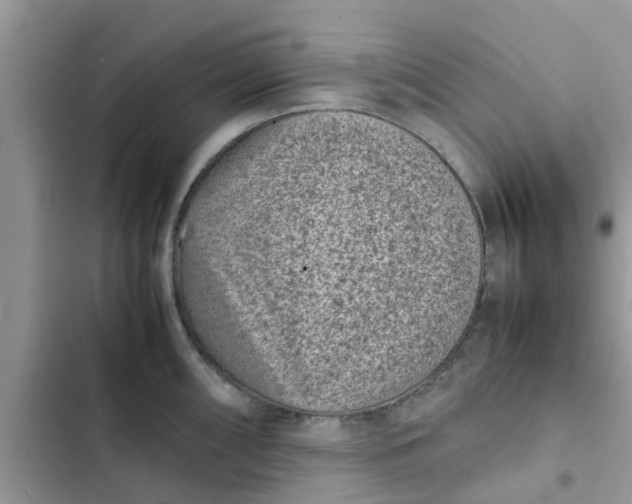 X0000102341098200808151722