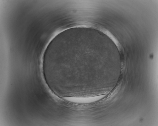 X0000102341099200808151722