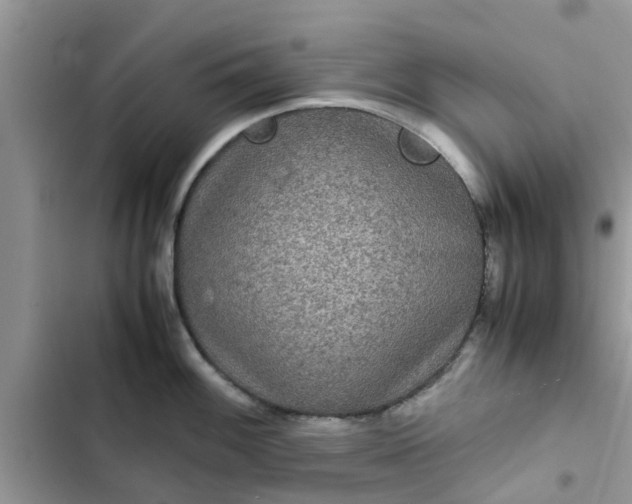 X0000102341100200808151722