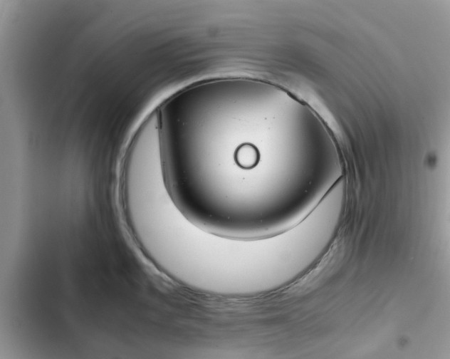 X0000102341101200808151722