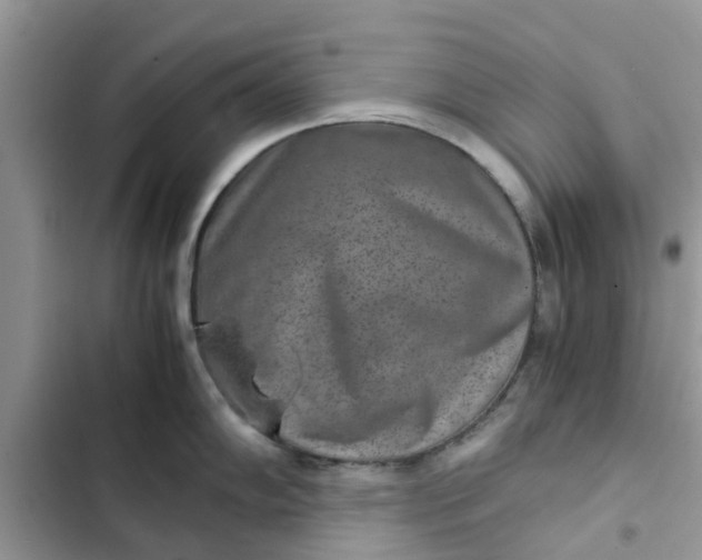 X0000102341102200808151722