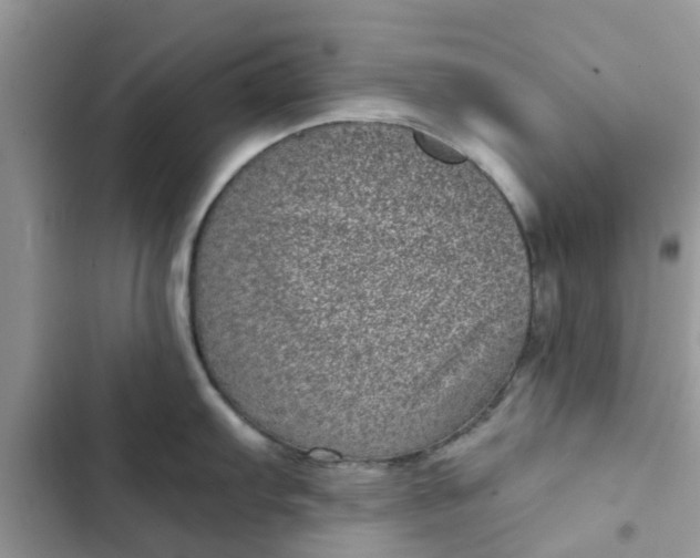 X0000102341103200808151722