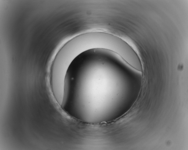 X0000102341104200808151722