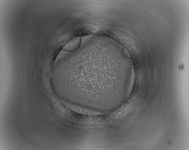 X0000102341105200808151721