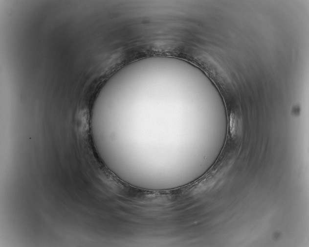 X0000102341107200808151721