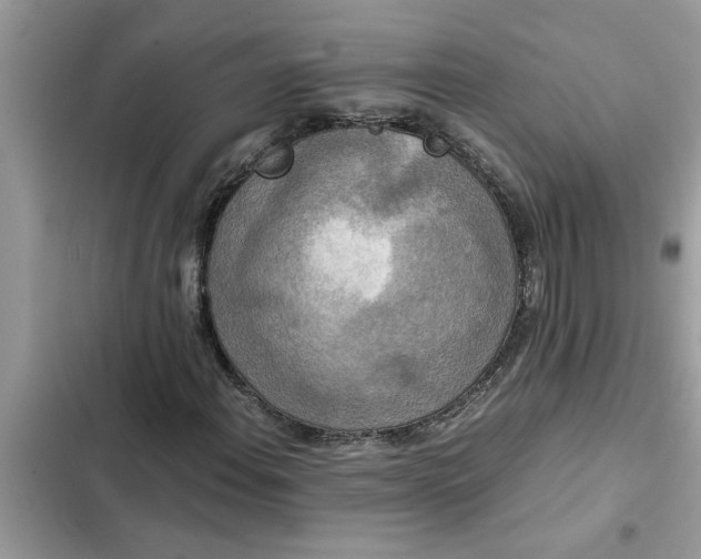 X0000102341108200808151721