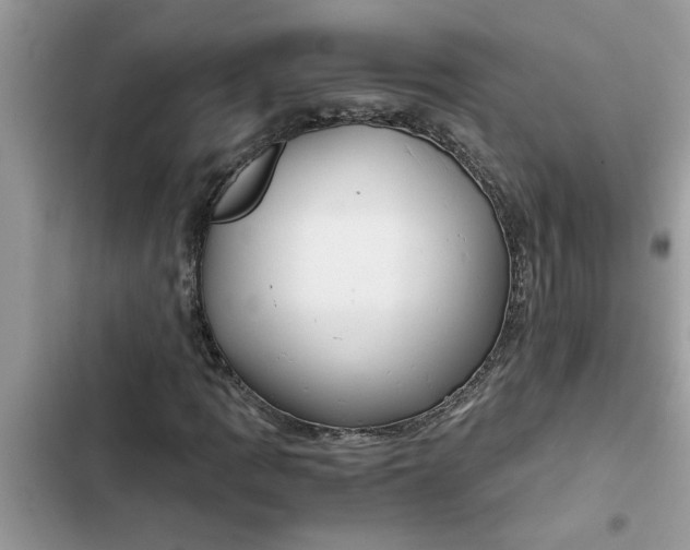 X0000102341109200808151722