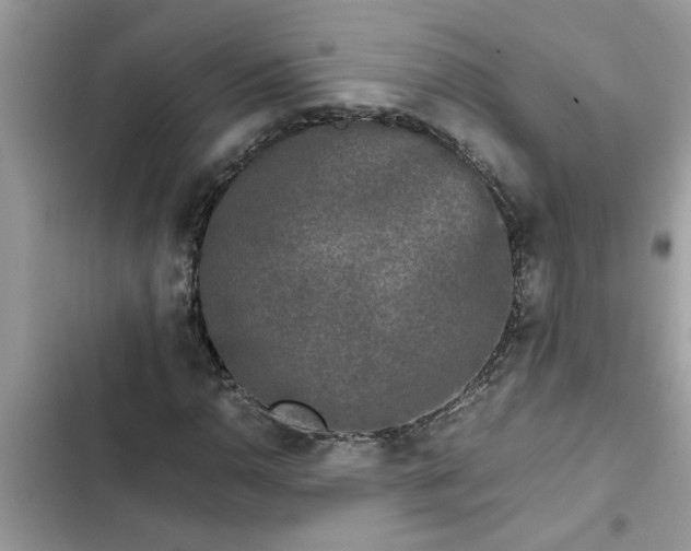 X0000102341110200808151722