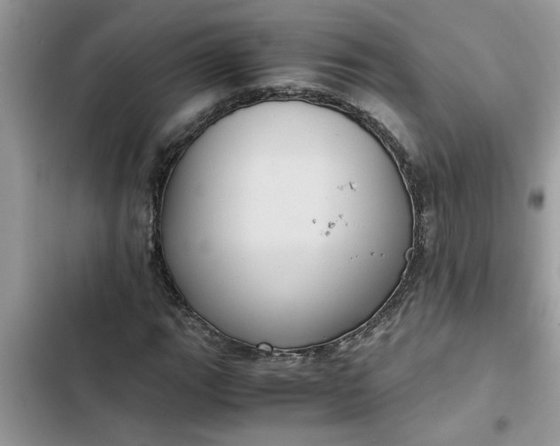 X0000102341111200808151722