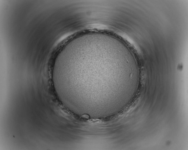 X0000102341112200808151722