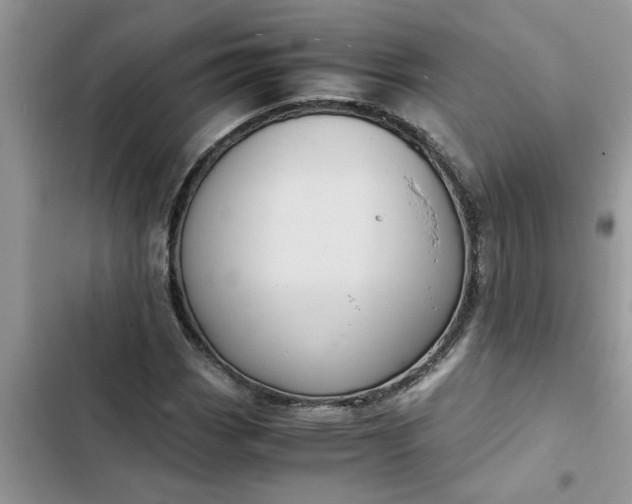 X0000102341113200808151722