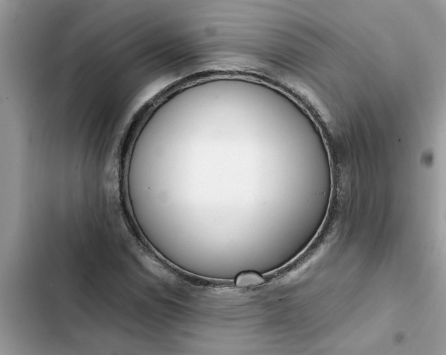 X0000102341114200808151722