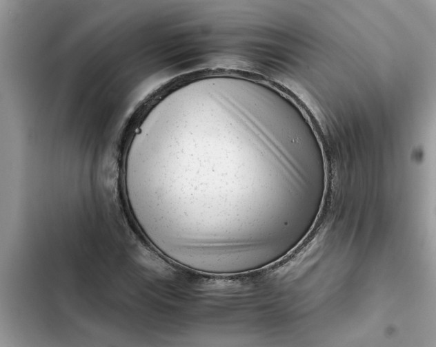 X0000102341115200808151722