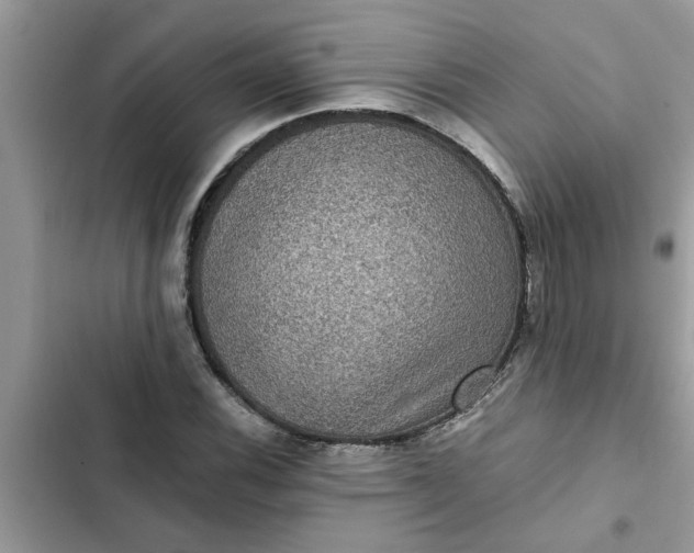 X0000102341116200808151722