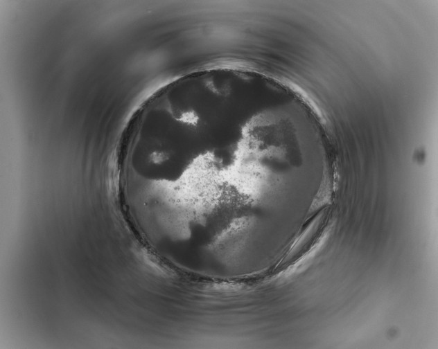 X0000102341117200808151722