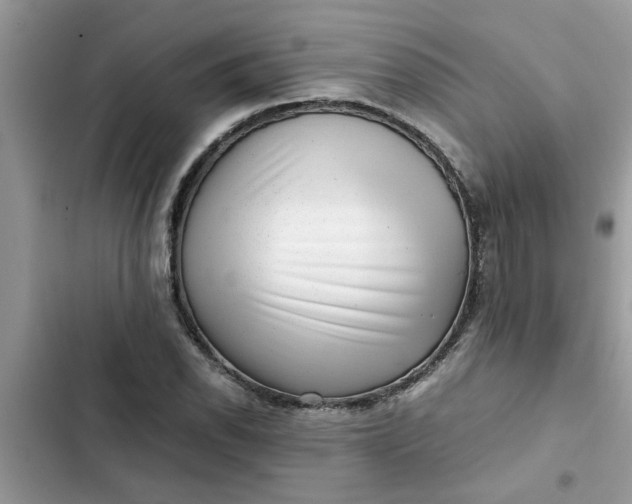 X0000102341118200808151722