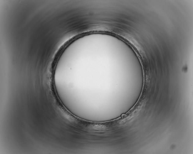 X0000102341119200808151722