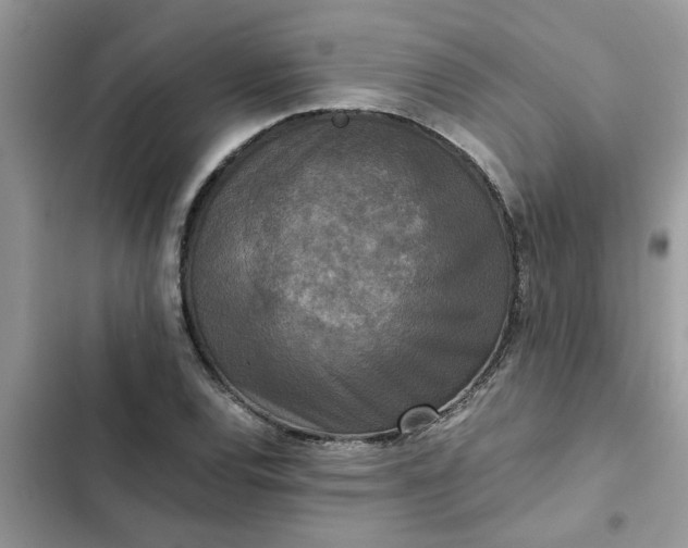 X0000102341120200808151722