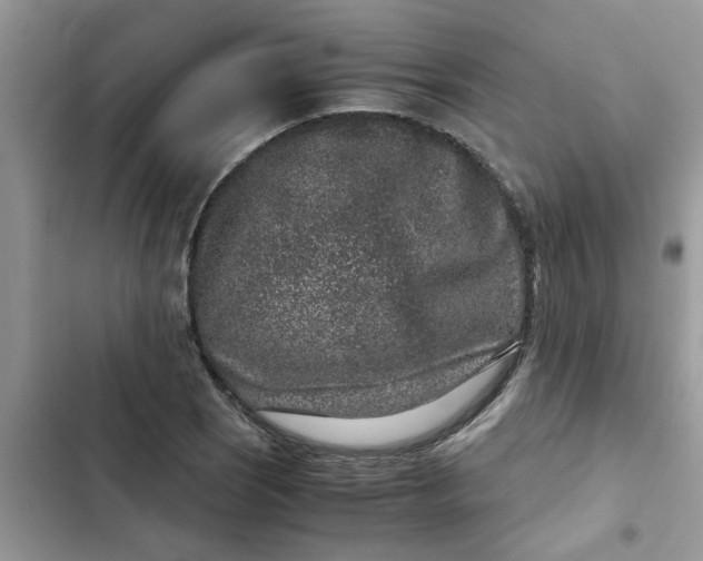 X0000102341121200808151722